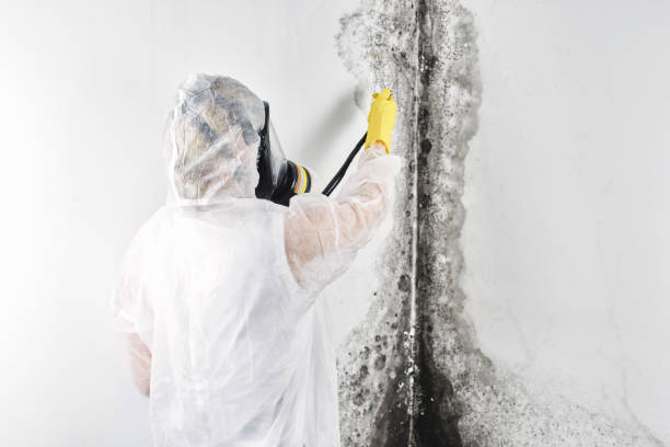 Sewage cleanup and water damage restoration